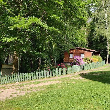 Hotel Osrodek Lesny Rajsko W Zapuscie Zapusta Exteriér fotografie