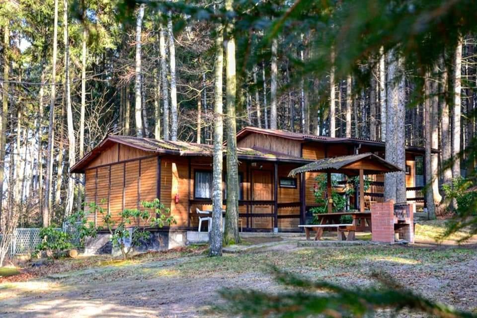 Hotel Osrodek Lesny Rajsko W Zapuscie Zapusta Exteriér fotografie