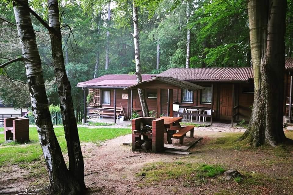 Hotel Osrodek Lesny Rajsko W Zapuscie Zapusta Exteriér fotografie