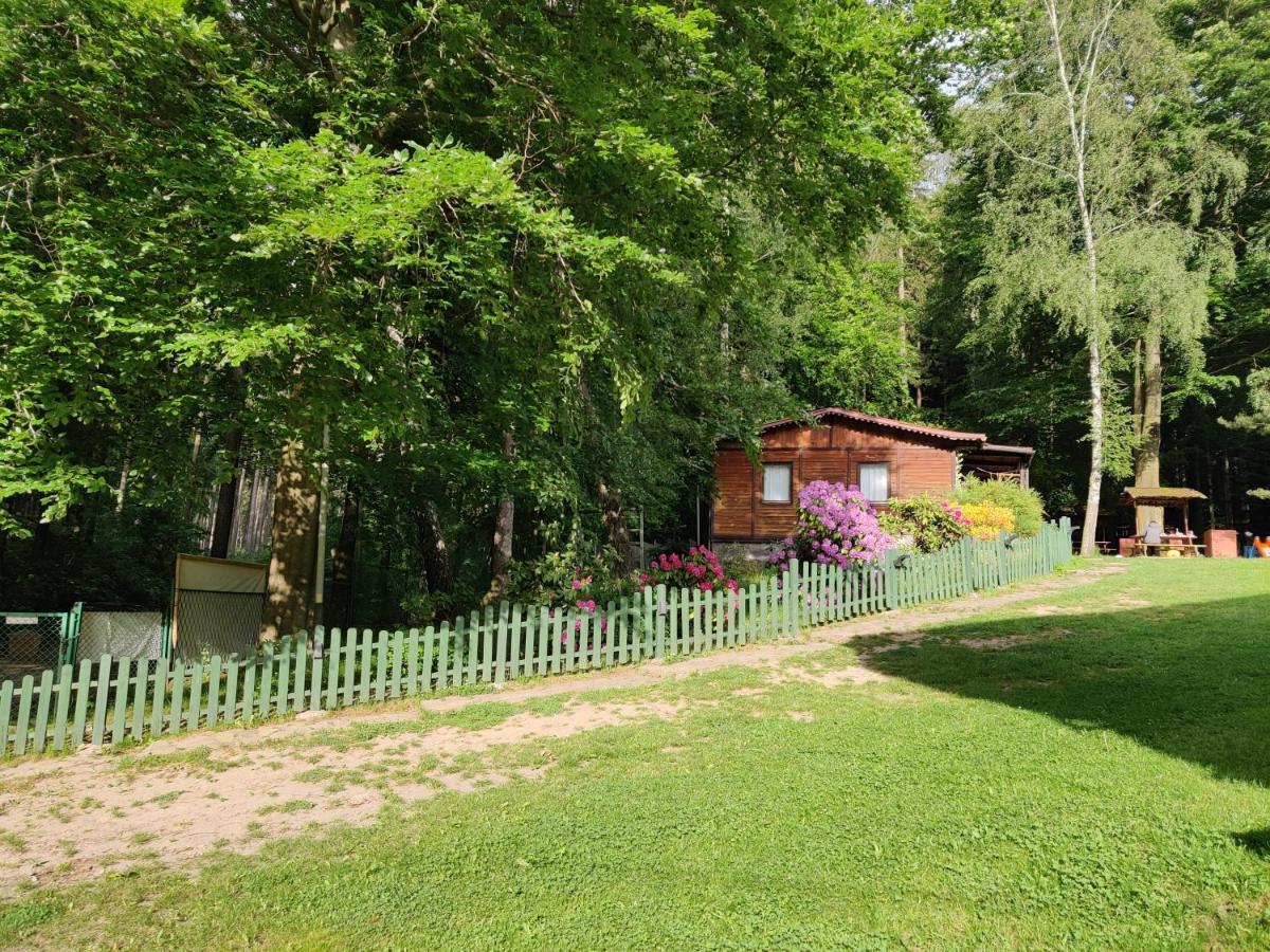 Hotel Osrodek Lesny Rajsko W Zapuscie Zapusta Exteriér fotografie