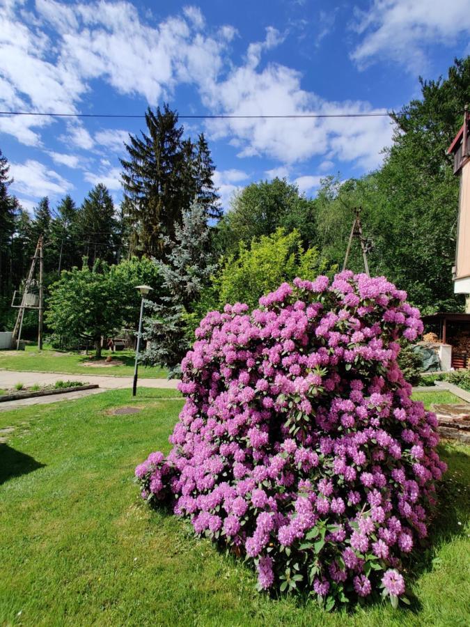 Hotel Osrodek Lesny Rajsko W Zapuscie Zapusta Exteriér fotografie