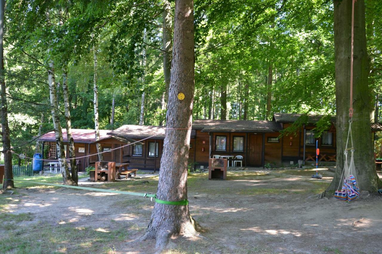 Hotel Osrodek Lesny Rajsko W Zapuscie Zapusta Exteriér fotografie